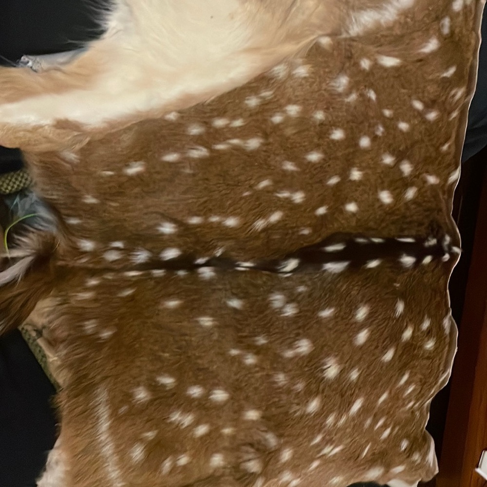 Deer hid with tail very soft on both sides good condition